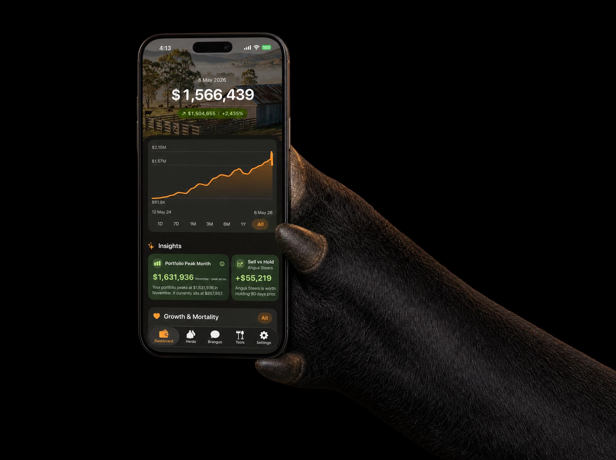 Brangus holding the Stockman's Wallet app dashboard on an iPhone